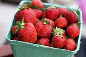 Health Effects Of Eating Rotten Strawberries 